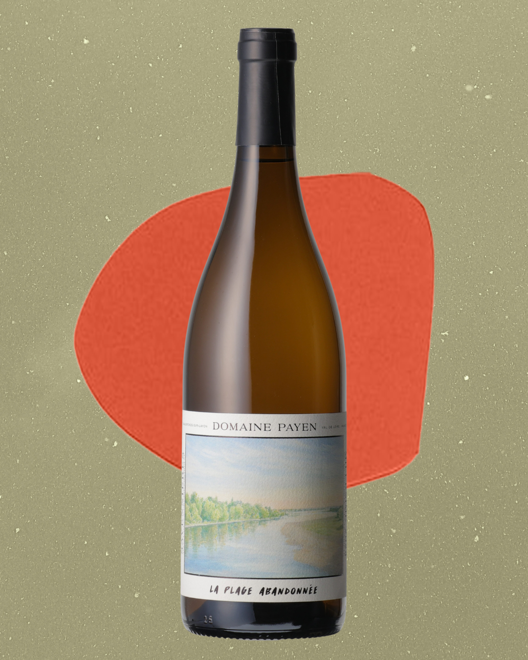 Domaine Payen - La plage abandonnée Savennières Blanc 2024