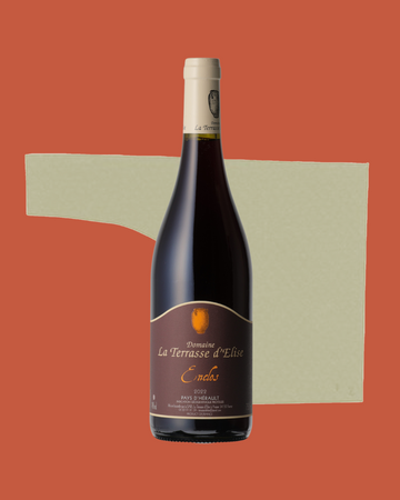 Domaine la Terrasse d'Élise - Enclos 2022 - Hérault IGP