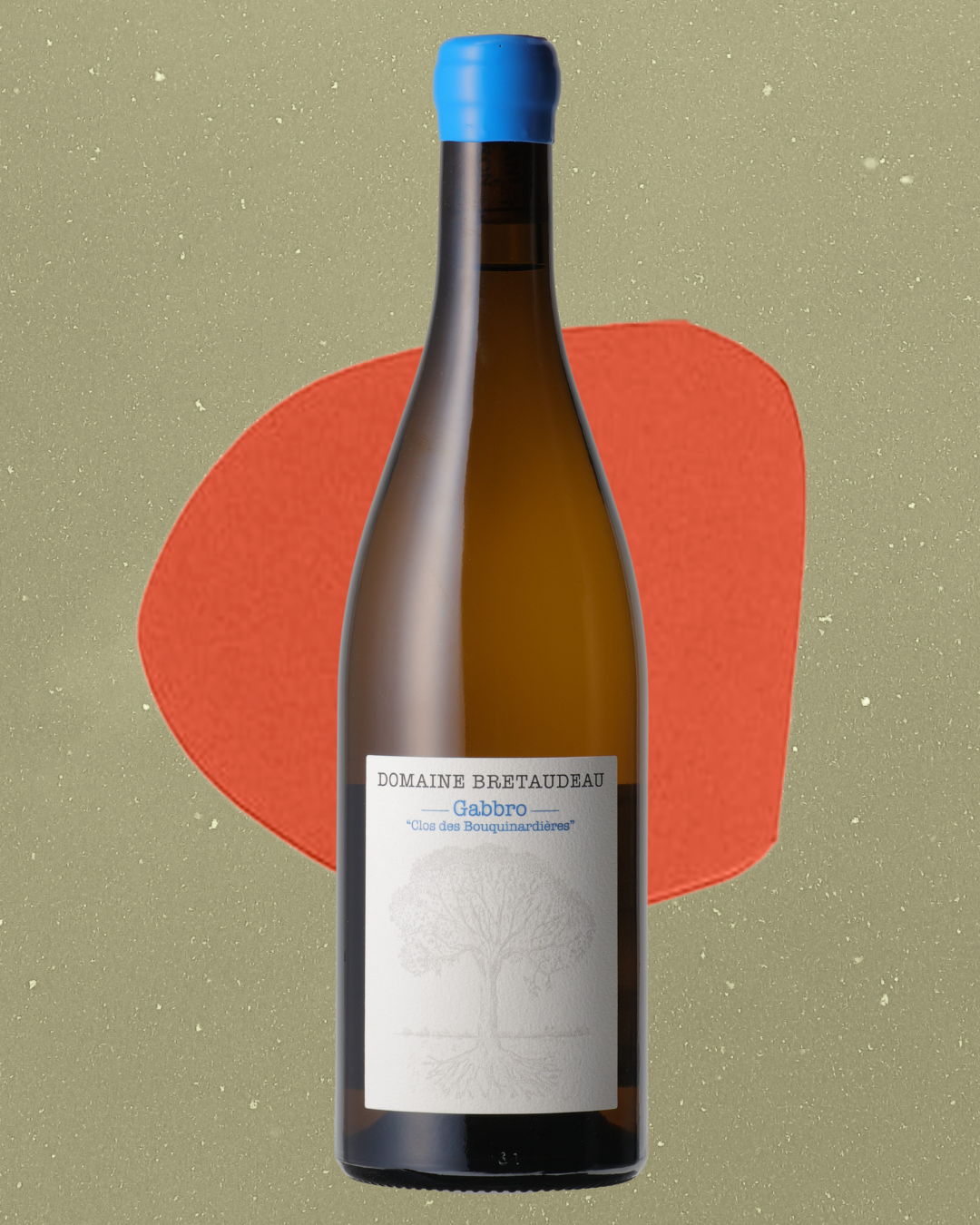 Jérôme Bretaudeau - Gabro Blanc Clos des Bouquinardières 2023