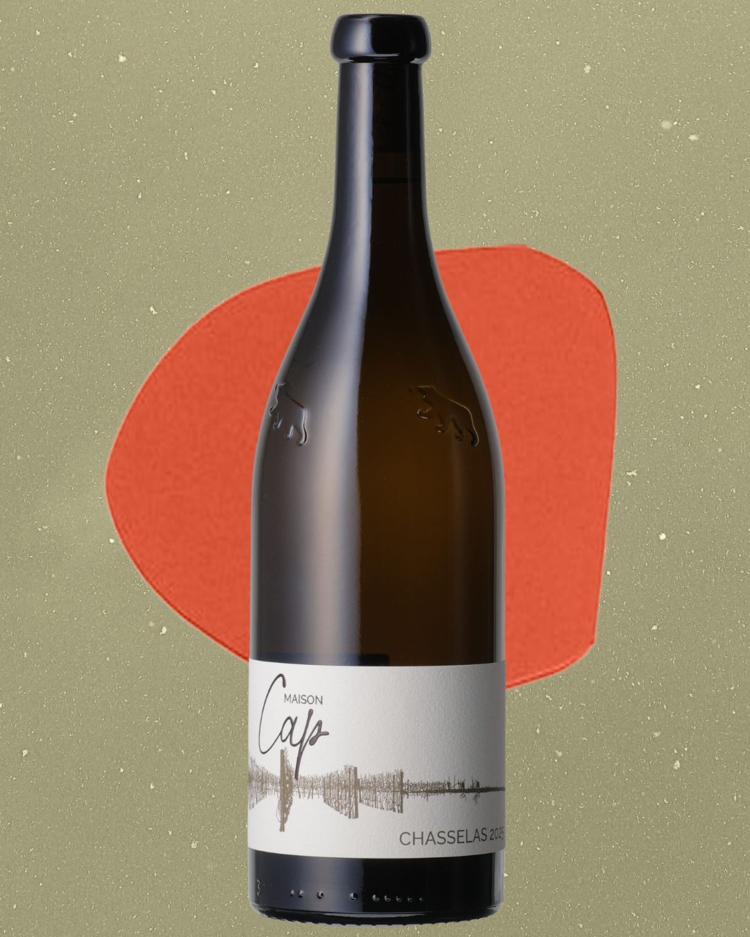 Maison Cap - Chasselas Lac du Bienne Blanc 2025